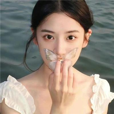 鲨鱼宝宝成长记